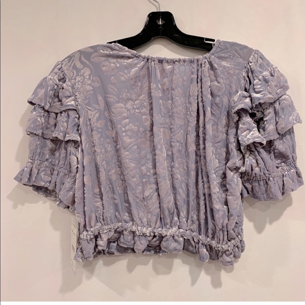 Free People Velveteen Dreams Crop Velvet Top - Picture 4 of 9